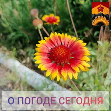 ������������� ������� � ������ � ���������� ������