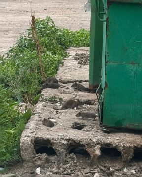 �������� ������������ � �������: � ��������� ���� ������ ��������� � �����������