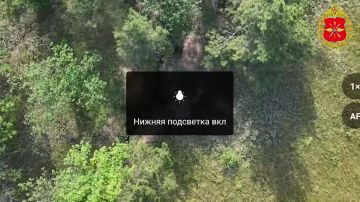 ����� ������ ��������� �������� �� ������������ ����������� ���������� ������ ������������� �������� �� ������� � ������ ������ ��� �� ������������ �����������, ����������� ����������� ��������� �����