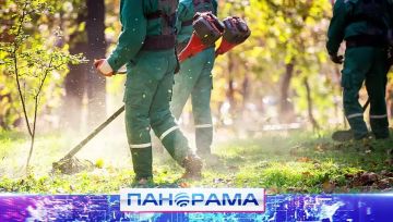 ��������������� ��� ������: ��������� � ���������� ������ �� ������ �������