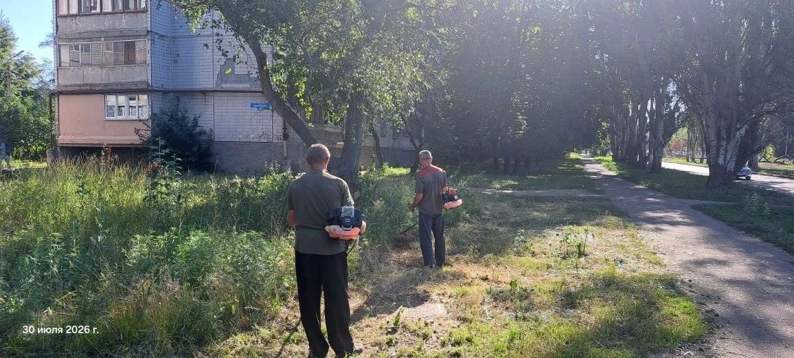 Елена Рязанцева: Сегодня Управой Пролетарского внутригородского района ведутся работы по покосу травы вдоль дороги по ул. Прожекторная
