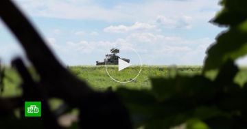 Расчет «Града» разнес укрепленные позиции ВСУ в Запорожье