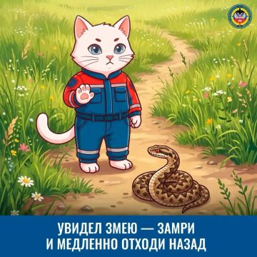 Как обезопасить отдых на природе?