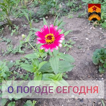 Гидрометцентр сообщил о погоде в Шахтерском округе