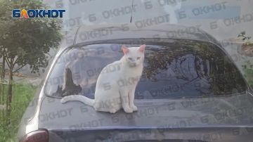 �������������� ������� �������