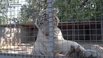 ������ ������ ����� ��������� � ����� �����! ����� ���������� ���� ������ ������