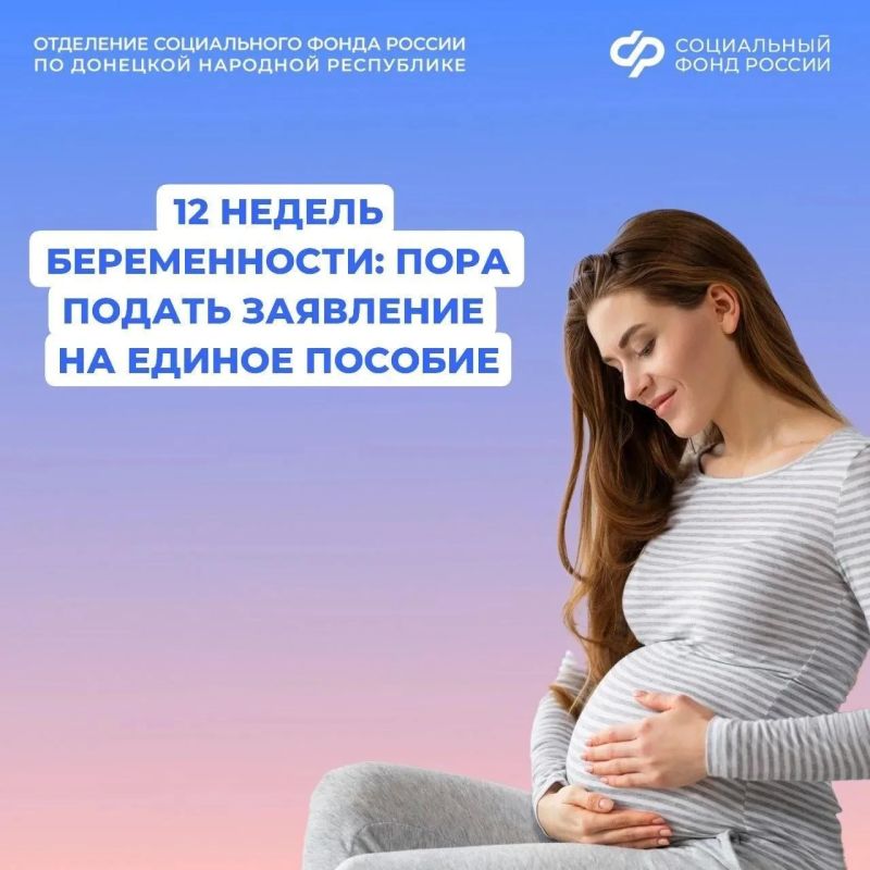 Как будущей маме из ДНР оформить единое пособие по беременности
