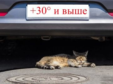 Градус повышается!. Уже в эти выходные температура днём поднимется до +30°