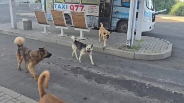 ���� �������������� ����� ���������� ����������� ��������
