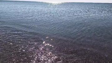 ��������� ����� ���� � ��� ������ ������� �������, �� ������� �� ����� ����������� ����������