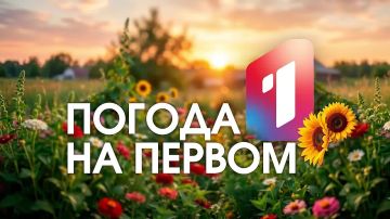 Доброе утро!. Первый день августа порадует по-настоящему летней погодой