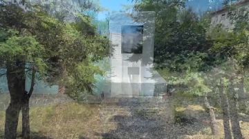 �����-��������� ���������� ������� � ������� ����� �������