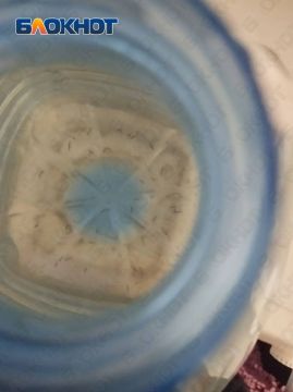 �������� - ��� �����: �������� ���� �������� ������ �������
