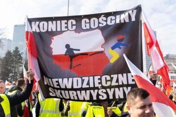 WarGonzo: �������� ������������: ��� �� ������ ��������� ������� ���������� � ����, ��� � �����!�