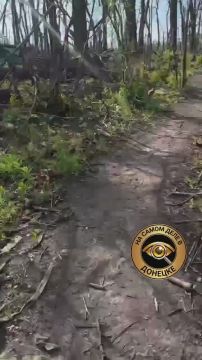 Состояние водовода из оккупированного ВСУ Славянска