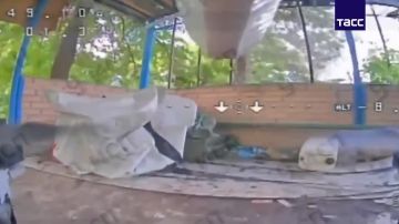 ВС РФ уничтожили пехоту и несколько наземных роботов ВСУ в районе Красного Лимана