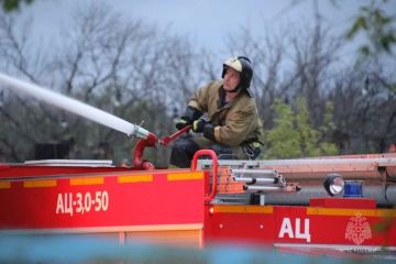 #МЧСДНР_СВОД за сутки. Ликвидировано 33 пожара, из них 21 — ландшафтный