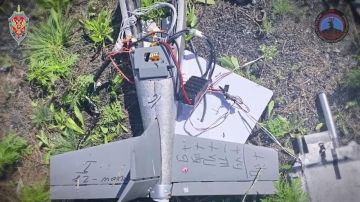 ������ �������� �� ������ ������������ 138 ���� ���������� �������������
