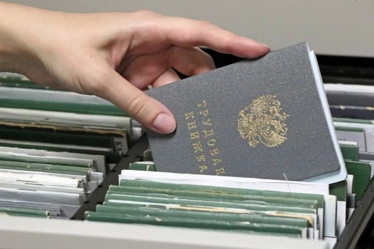 Лариса Толстыкина: 24 099 – свободные рабочие места в ДНР, информация о которых есть в базе данных центров занятости