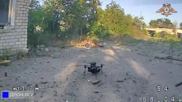 51 армия освободила Светлое
