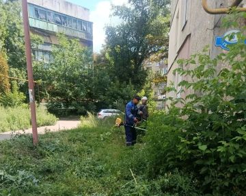 31 июля, с целью приведения территории в надлежащее санитарное состояние в Кировском внутригородском районе города Макеевки силами Макеевского филиала НКО «ЕДИНЫЙ РЕГИОНАЛЬНЫЙ ФОНД ПО УПРАВЛЕНИЮ МНОГОКВАРТИРНЫМИ ДОМАМИ НА...