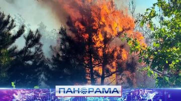 ������ � �������� �������: 9 �� 10 ������ ������� ��������� �������