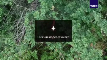 ����� ����� ����������� ���������� ������, ������� � ����� ���������� ���� ��� � ���