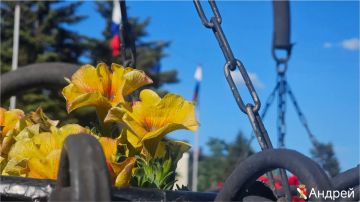 ����� ��������: ������������� ������������!