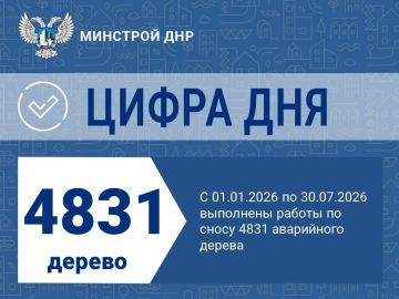 Ликвидация аварийных деревьев продолжается