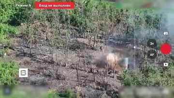 ����� �������� ����������� ������������ �������� � ��� � ������� ����� � �������� ���� ������� ���