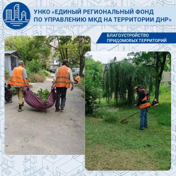 Август — пик роста карантинных трав, поэтому покос во дворах не прекращается