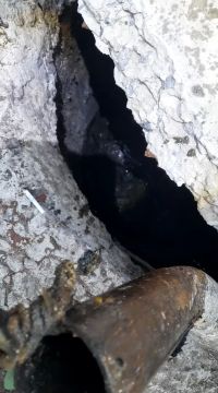����������� ������ �� ���������������� �������������� ������ �� 03.08.2026