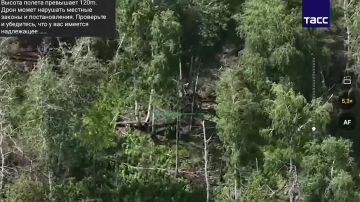 Бойцы группировки "Запад" уничтожили пехоту ВСУ в районе Красного Лимана, сообщили в МО РФ