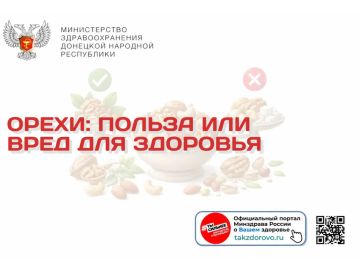 Орехи: польза или вред для здоровья