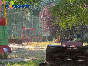 �� �����������, � �����������: ������� �������� �� ����������� �������� �� ������