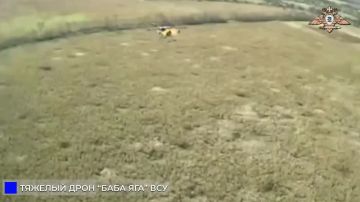 224 ������ ���������� ���� ���