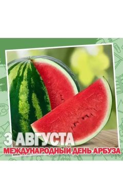 � ������ �������� ���� ������ �������� ������ � ����������