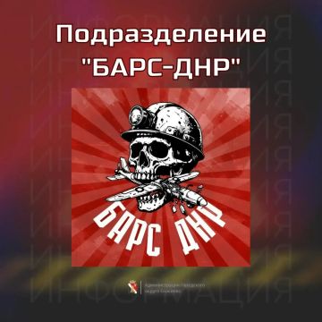 Игорь Мартынов: В Донецкой Народной Республике ведётся формирование добровольческого подразделения «БАРС-ДНР»