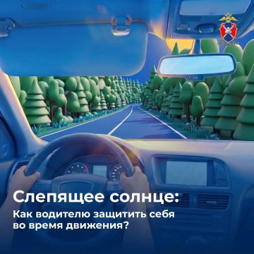 Слепящее солнце за рулем: как обезопасить себя в дороге