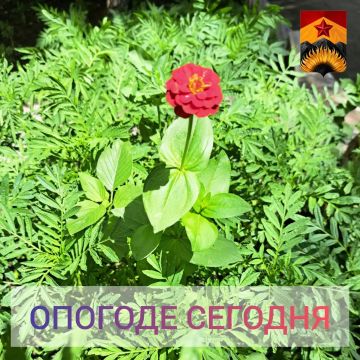 Гидрометцентр сообщил о погоде в Шахтерском округе