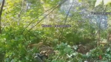 Евгений Поддубный: В Краматорском районе операторы FPVдронов «Южной» группировки войск нанесли точечные удары, ликвидировав живую силу ВСУ