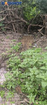 Дефицитная вода три недели моет землю у дома 17 на ул. Танкерной в Донецке
