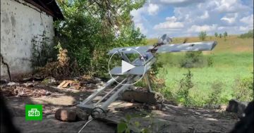 ���������� FPV-����� ������� ��������� ��� �� ������������ �����������