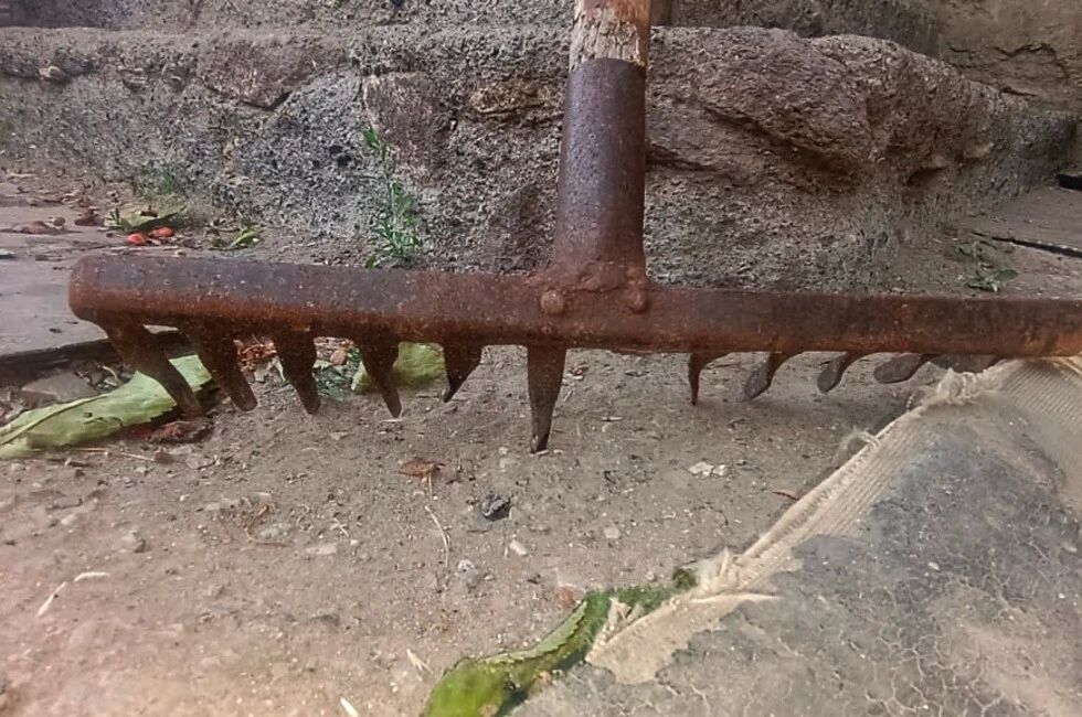 Жительница Старобешево избила подругу граблями из-за спрятанного алкоголя