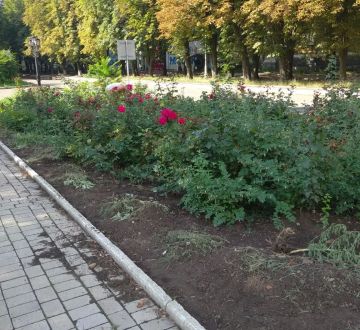 С целью приведения территории в надлежащее санитарное состояние силами ГБУ «Городской дворец культуры им. В. Г. Кирсановой» (Дворец культуры «ЯКХЗ») проведены работы по благоустройству и уборке клумб возле здания дворца