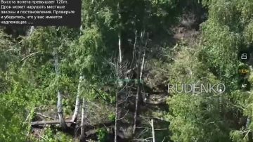 ������ �������: ��������� FPV-������ ����� ����������� ������ � ������� ��� ������ ���������� ����� ���� ��� � ������ �������� ������