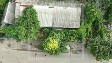 ���������� ������������ ��� � ���������� ��������� ������������ �������������� � ������� ����������