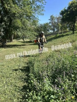 В эти жаркие летние дни сотрудники Дирекции парков продолжают работу по благоустройству территорий