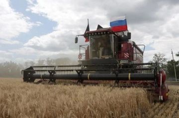 В ДНР продолжается уборочная кампания