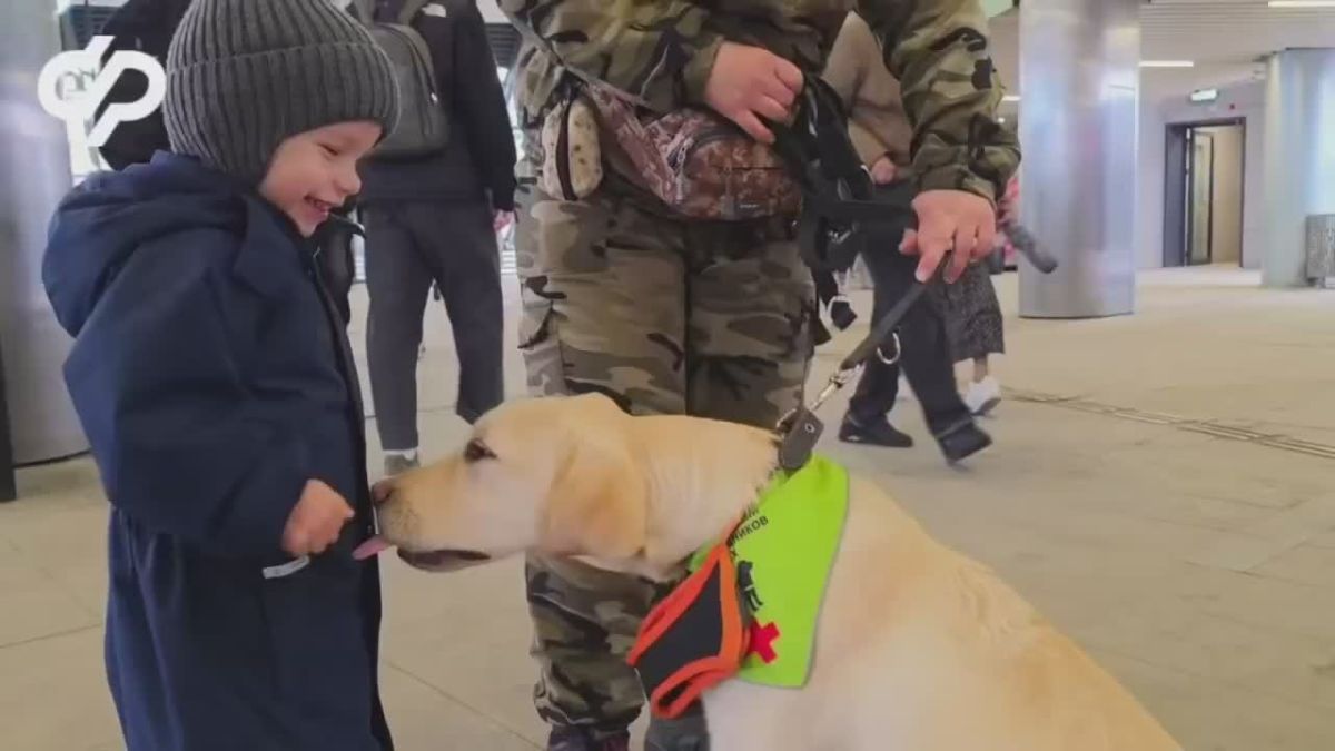 Городские уроки Росинки. Для будущей собаки-проводника город — это главный учебный класс
